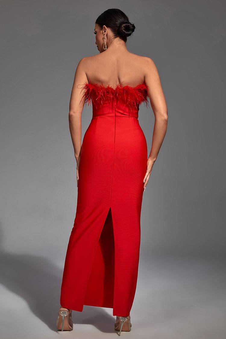Aeira Feather Maxi Bandage Dress