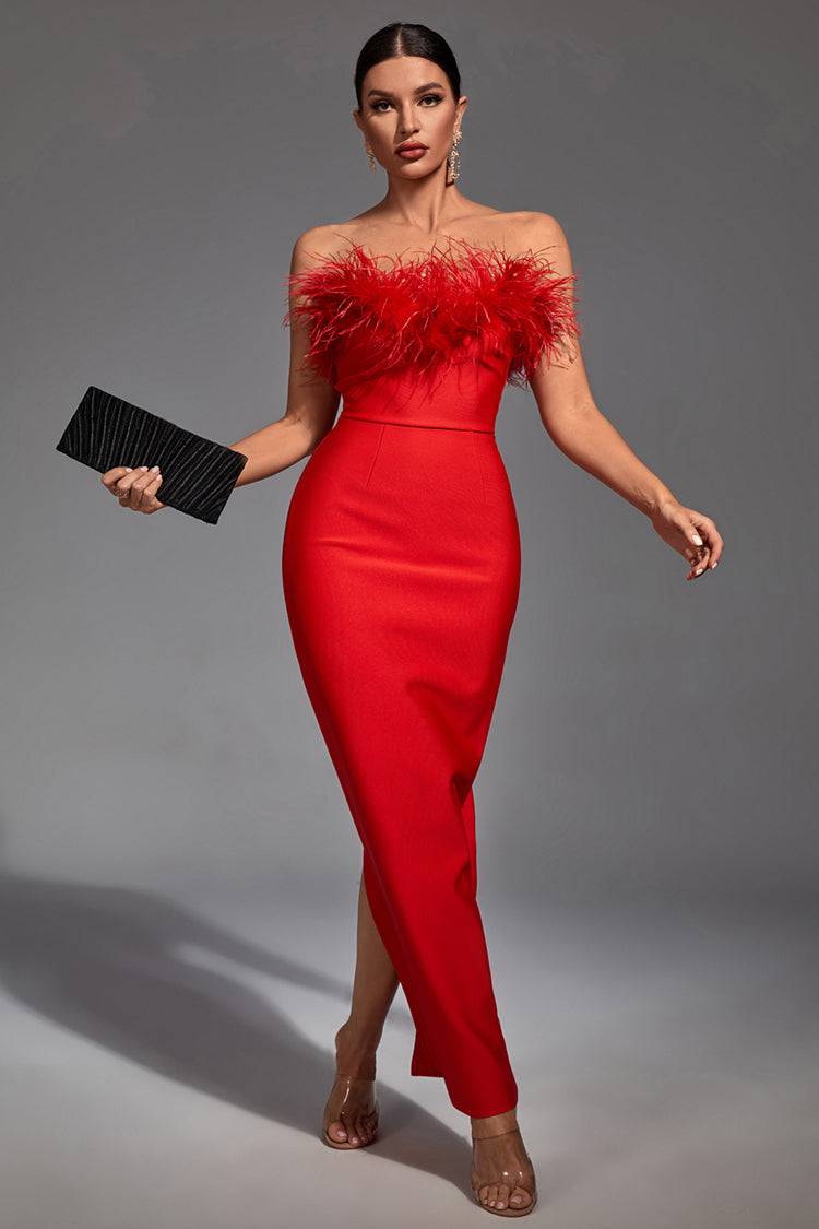 Aeira Feather Maxi Bandage Dress