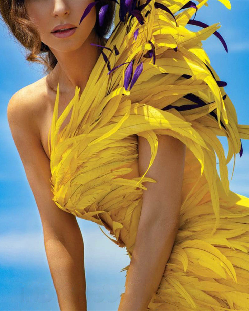 Elegant Drama Feather Party Sleeveless Dress