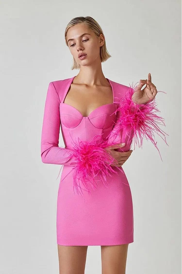 Aerika Feather Bodycon Mini Dress