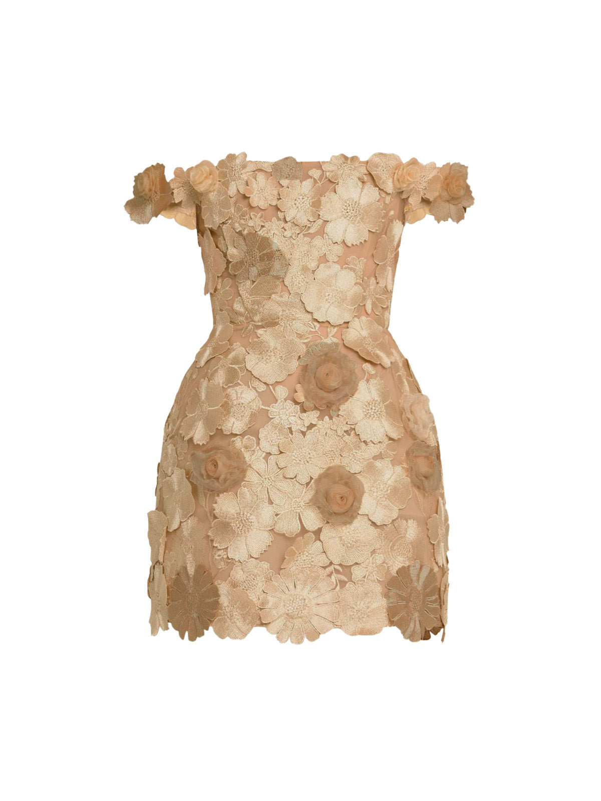 Dewlin Off Shoulder Floral Embroidered Mini Dress