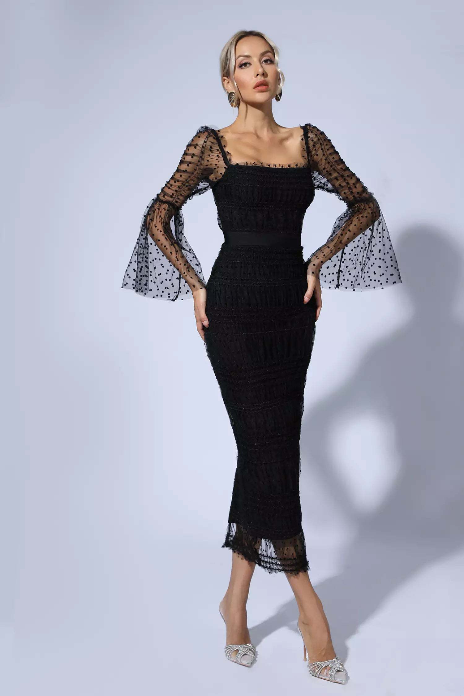 Polka Dot Black Mesh Midi Dress
