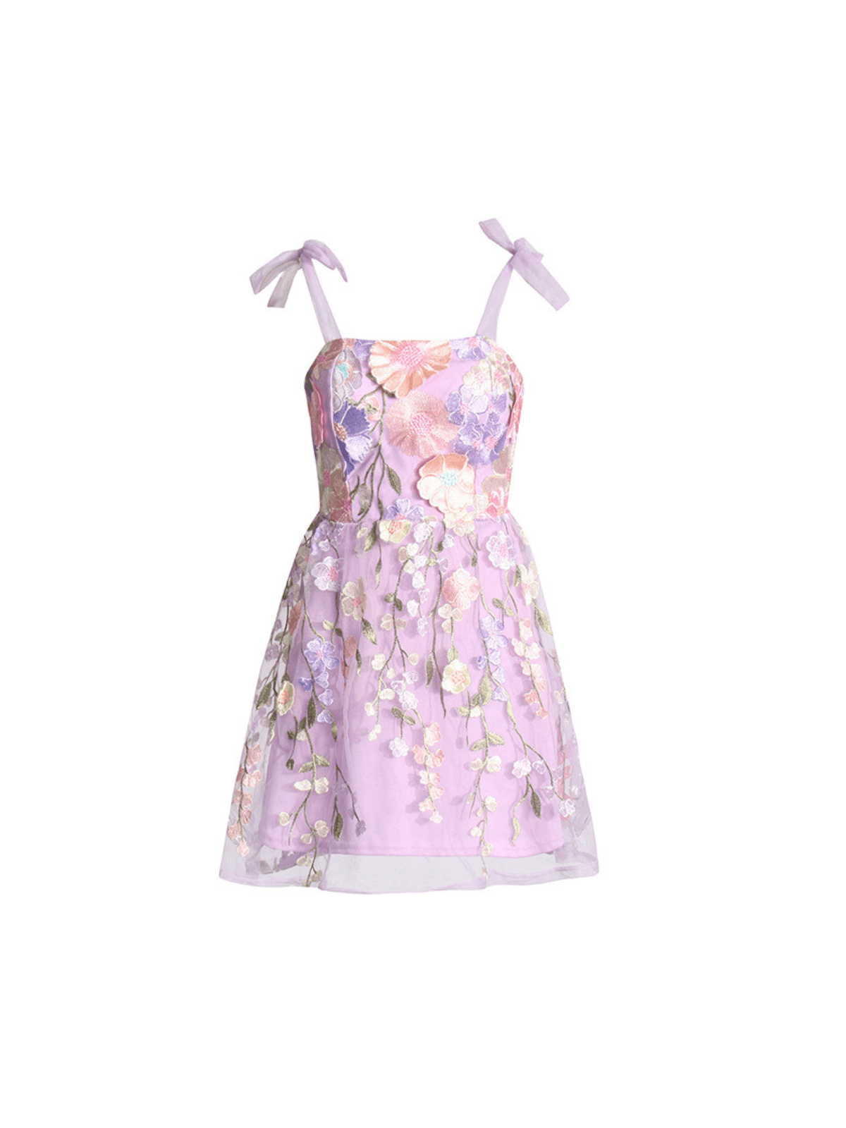 Philip Lace Up Embroidered Mini Dress