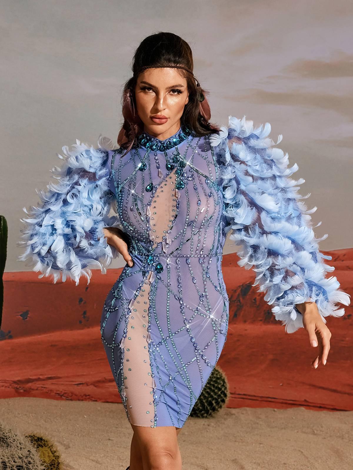 Platon Long Sleeve Feather Embellished Mini Dress