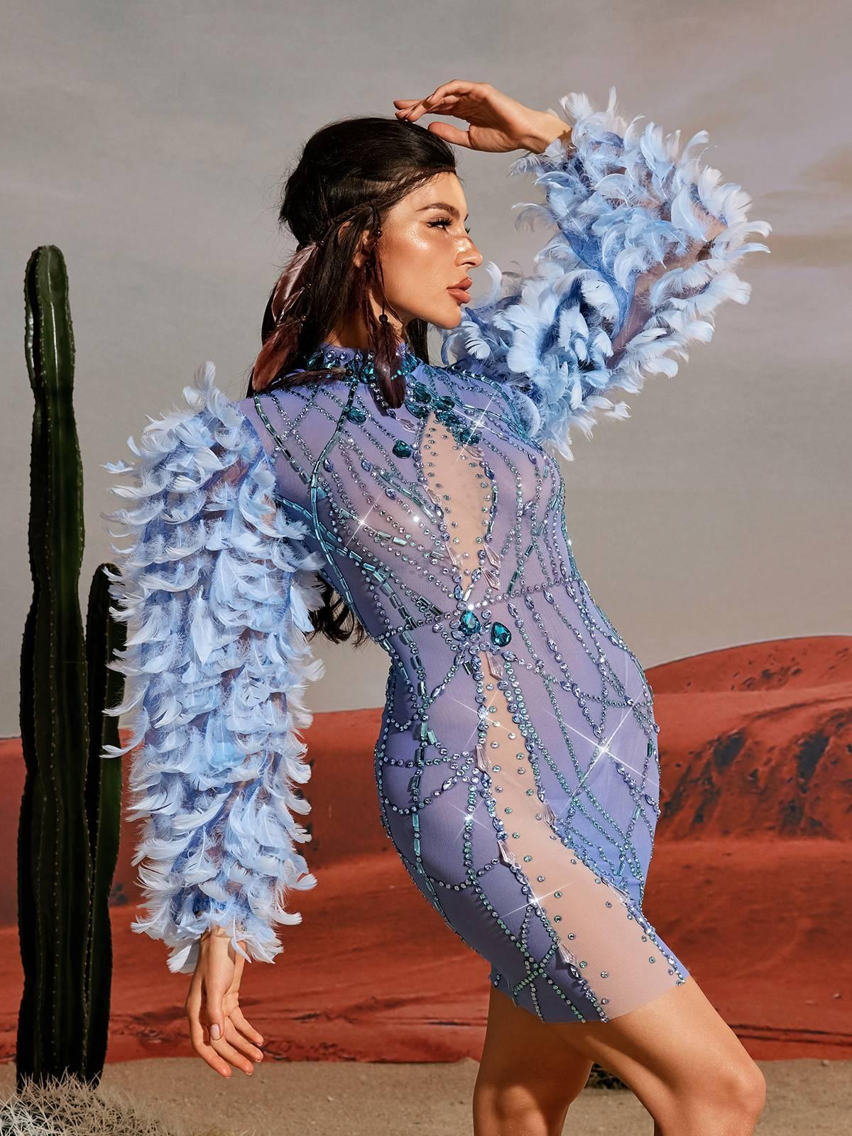 Platon Long Sleeve Feather Embellished Mini Dress