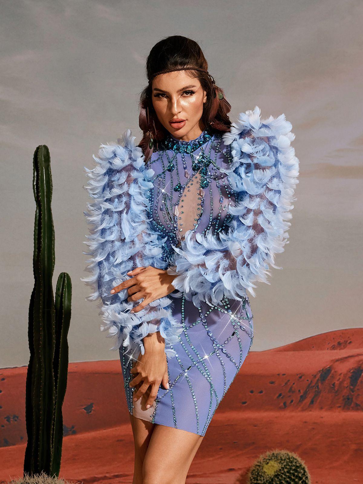 Platon Long Sleeve Feather Embellished Mini Dress