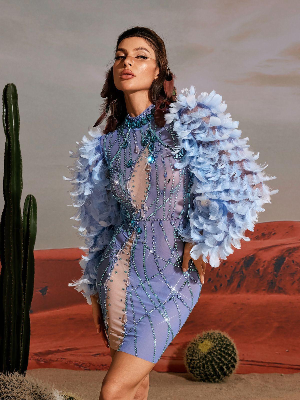 Platon Long Sleeve Feather Embellished Mini Dress