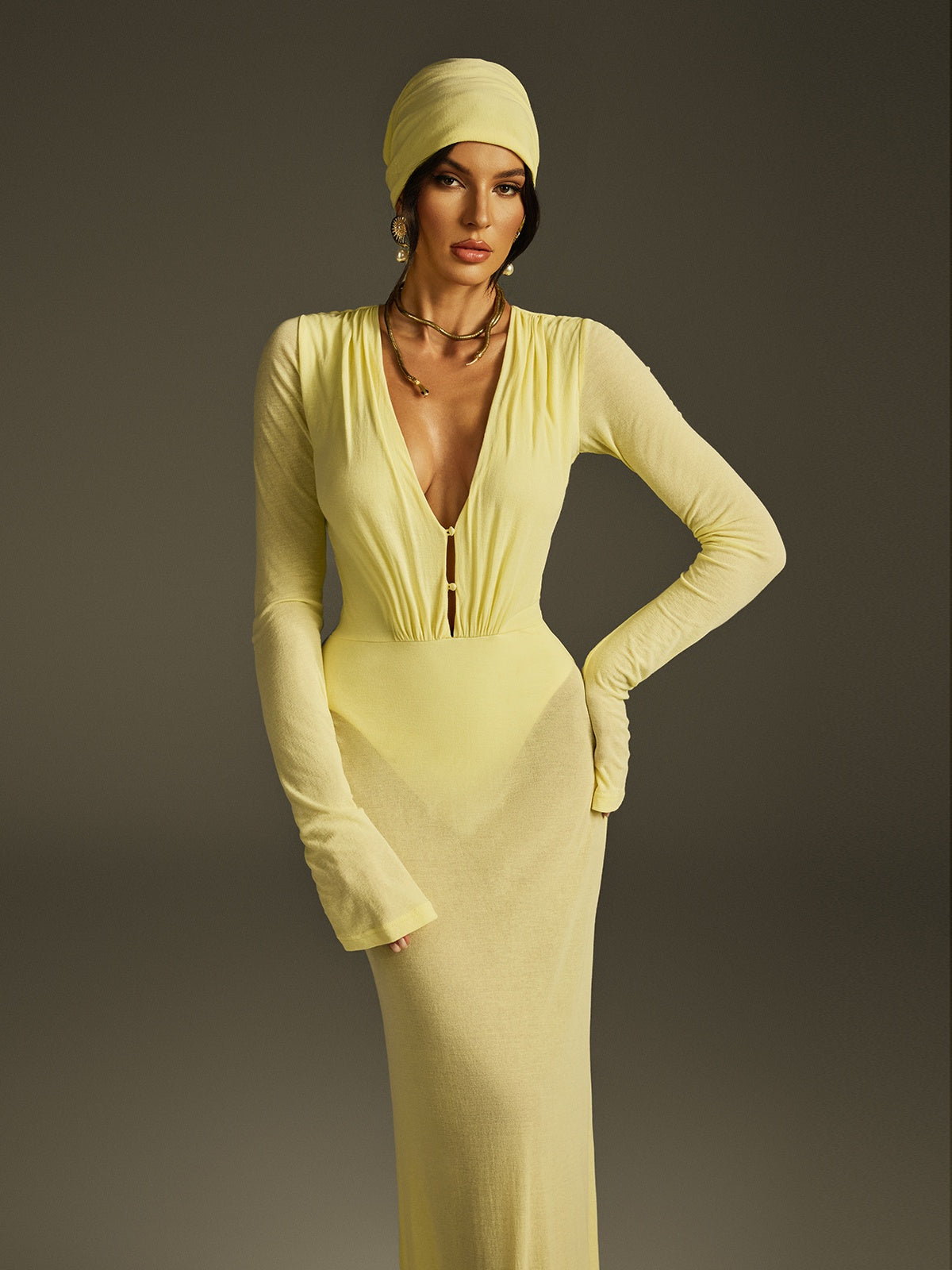 Saeltrix Plunge Neck Mesh Maxi Dress