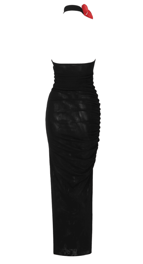 Chic Halter Backless Mesh Dress