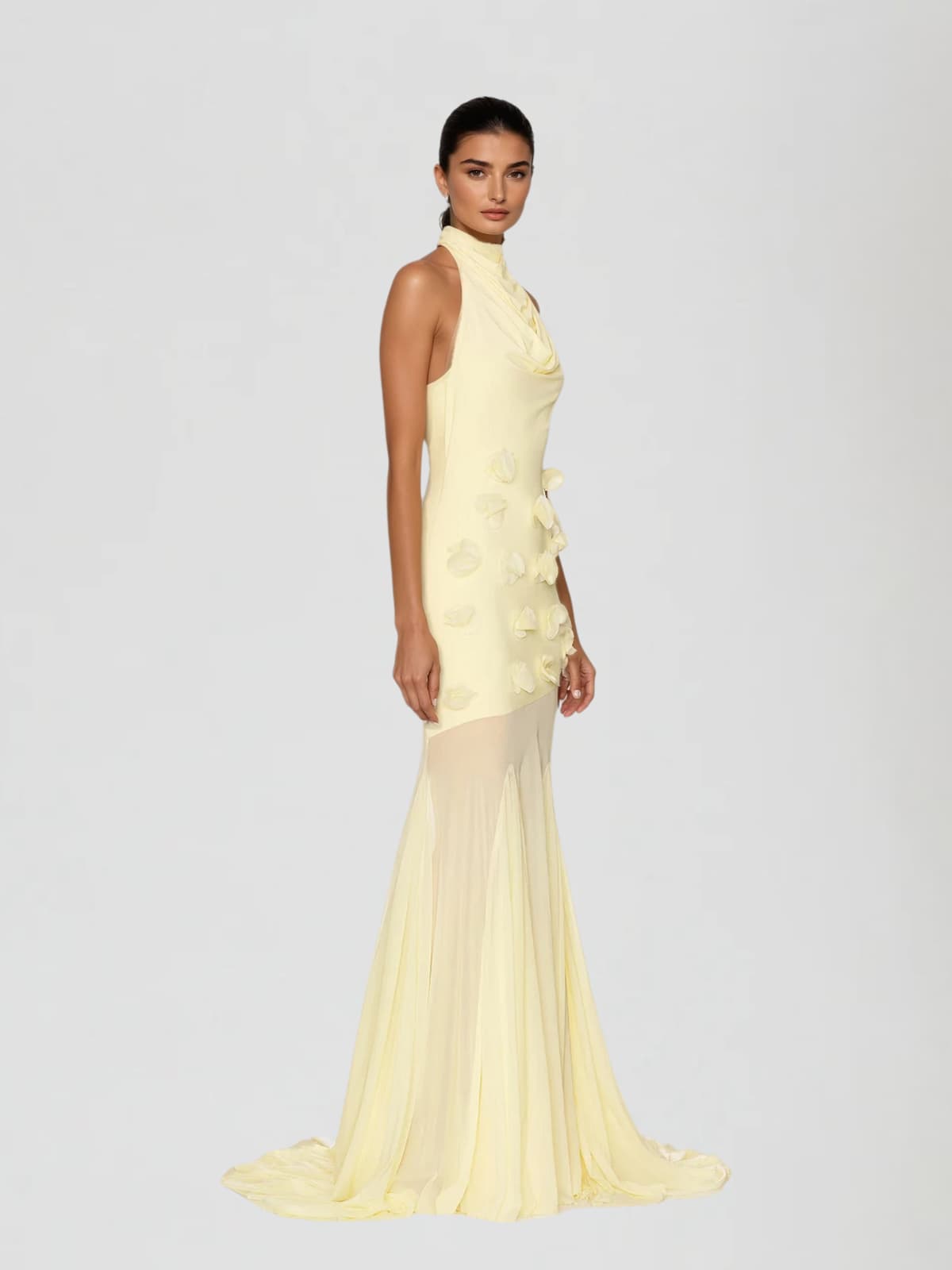 Taerix High Neck Mesh Flower Maxi Dress