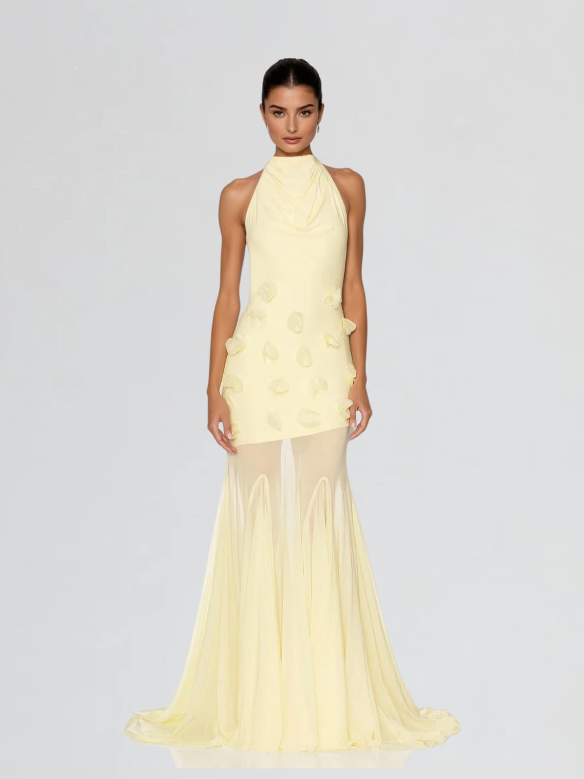 Taerix High Neck Mesh Flower Maxi Dress