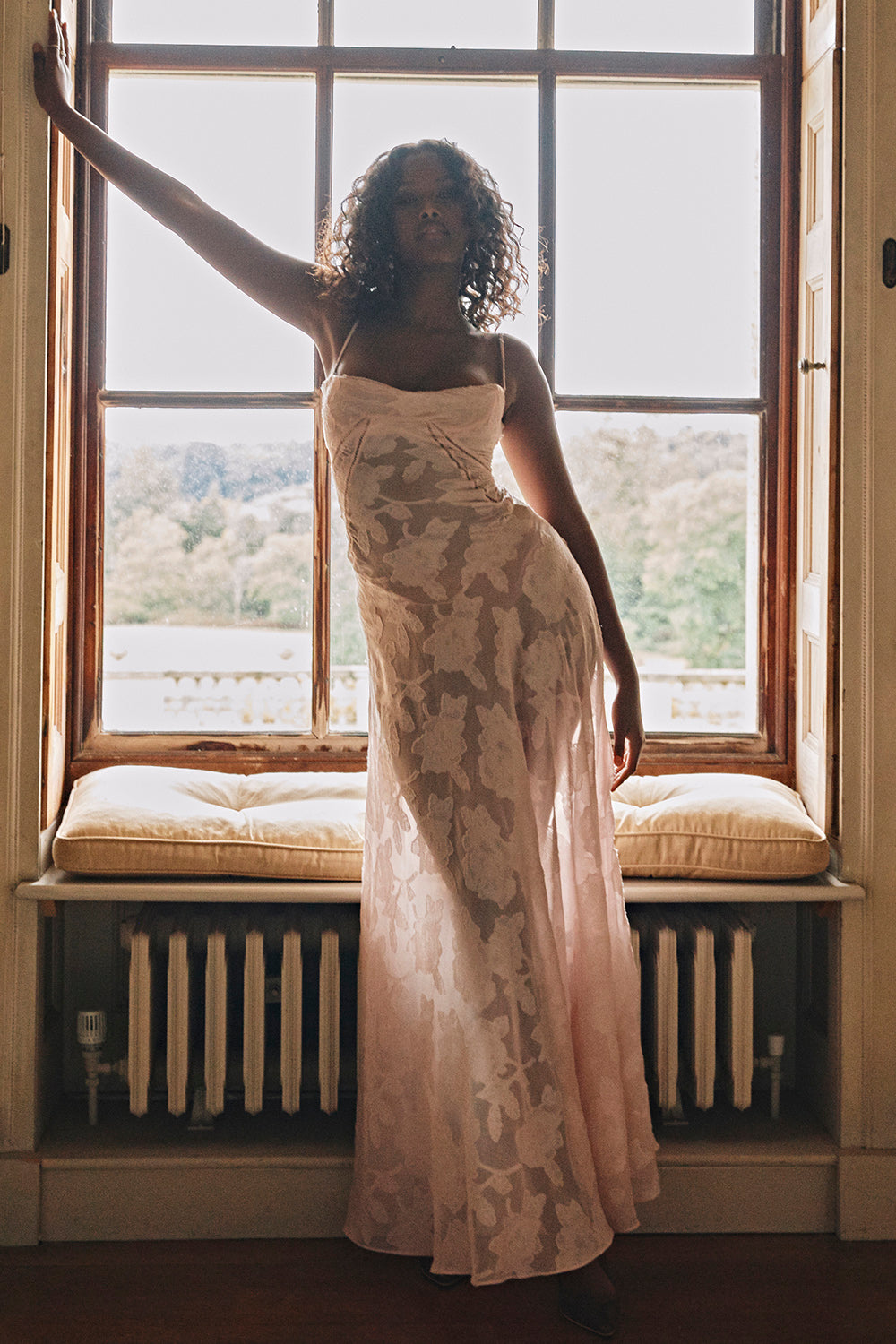 Amela Gorgeous Evening Dress
