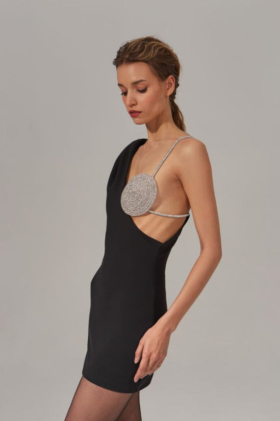 Elegant Designer Stone Mini Dress